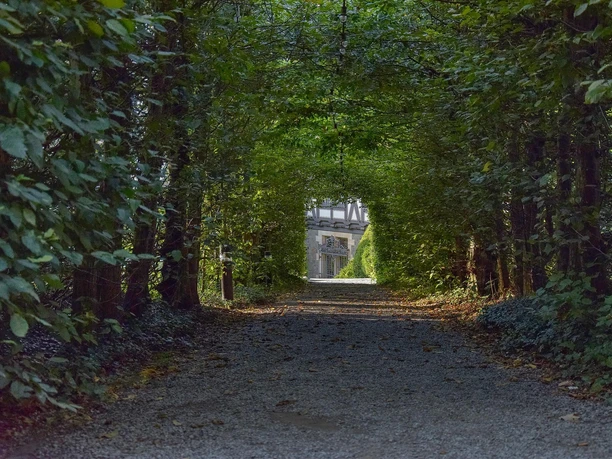 Allee_Schlosspark Rauischholzhausen