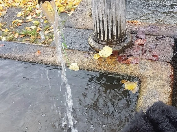 Brunnenwasser