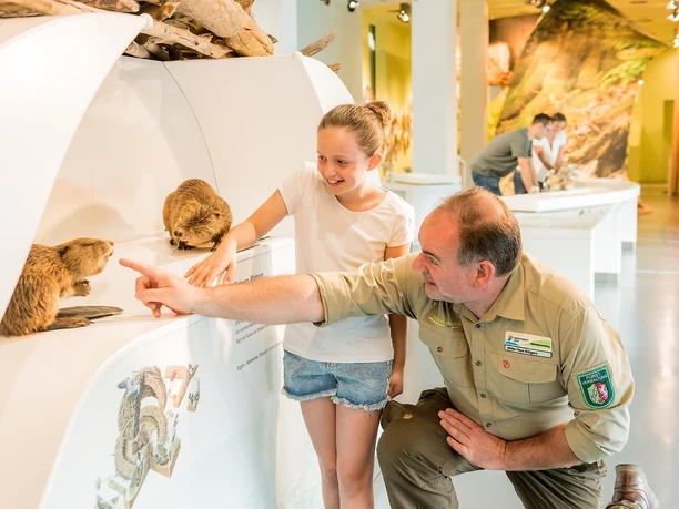 Mit dem Ranger durch das Nationalpark-Zentrum Eife
