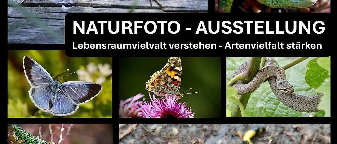 Naturfoto-Ausstellung
