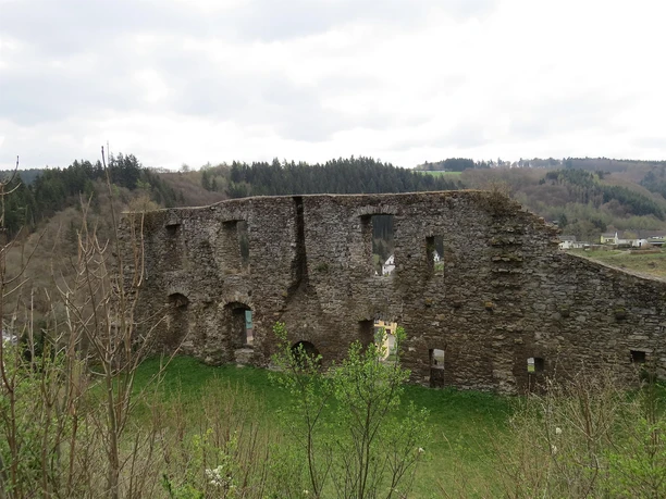 Die Burgruine Virneburg