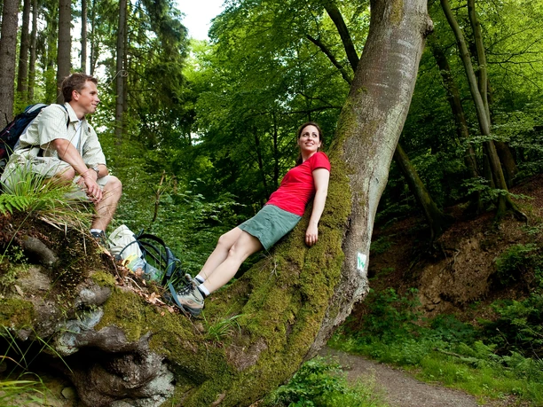 Wanderer im Hachenburger Westerwald
