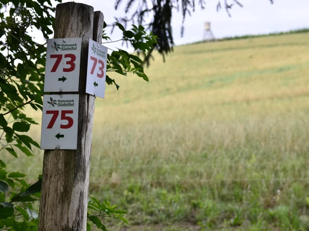 Wegbeschilderung TLN Nr. 73 & 75