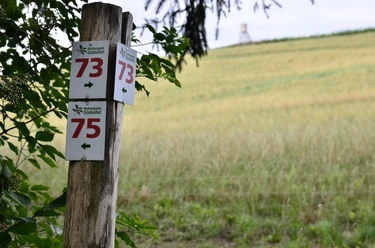 Wegbeschilderung TLN Nr. 73 & 75