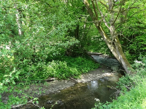 Bachlauf