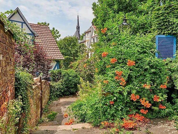 Kleine Gasse in der Altstadt
