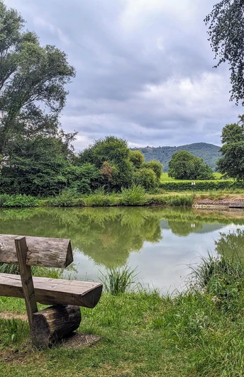 Ahlmühlweiher mit Blick auf die Madenburg