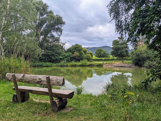 Ahlmühlweiher mit Blick auf die Madenburg