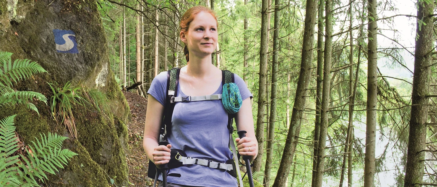 Wandern auf dem Natursteig Sieg