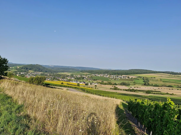 Blick auf Oberemmel