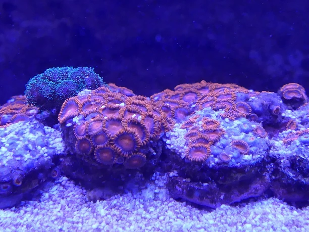 ...kleine und große...