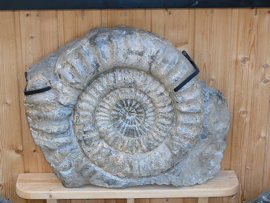 Privatmuseum Taben-Rodt (1)