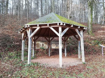 Informationspavillon Lebensraum Wald (1)