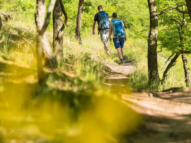 auf dem Wanderweg