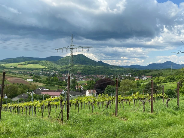 Blick über Albersweiler