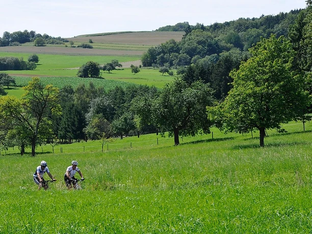 Mountainbiken durch die Landschaft des Sankt Wendeler Landes