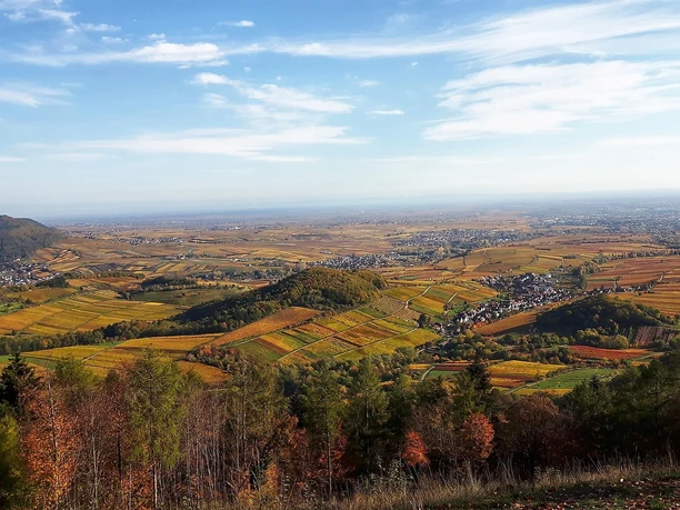 Aussicht vom Föhrlenberg im Herbst Aussicht vom Föhrlenberg im Herbst