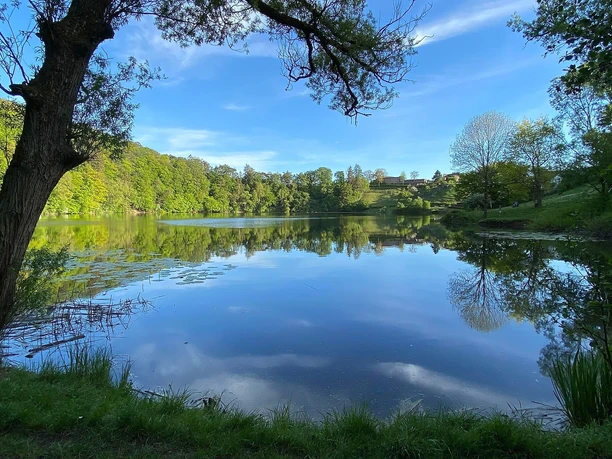 Blick auf das Ulmener Maar