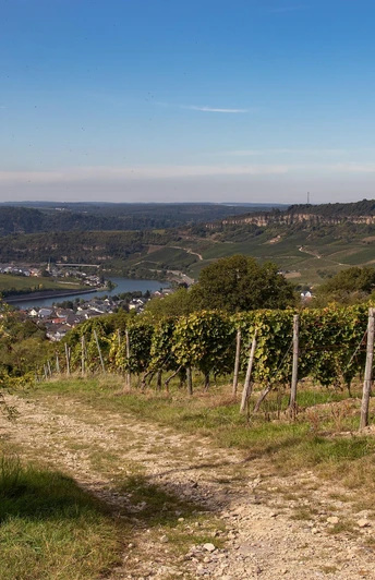 Kellertage Nittel (4)