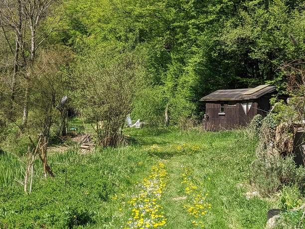 Blick in den Garten