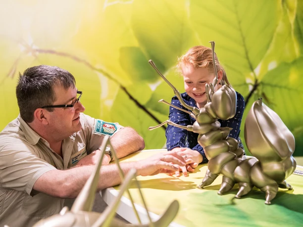 Wildnis(t)räume Ausstellung