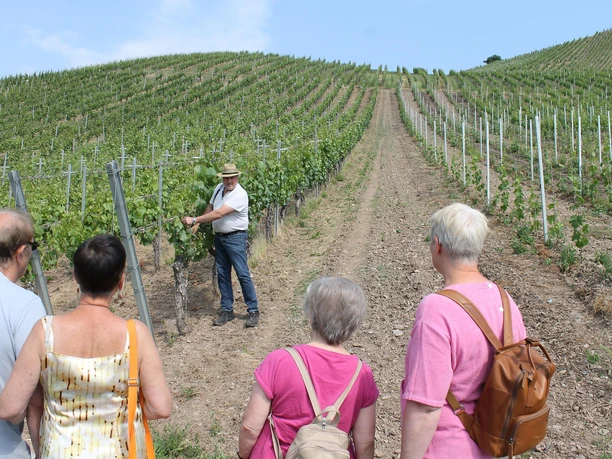 kleine Weinbergsrunde