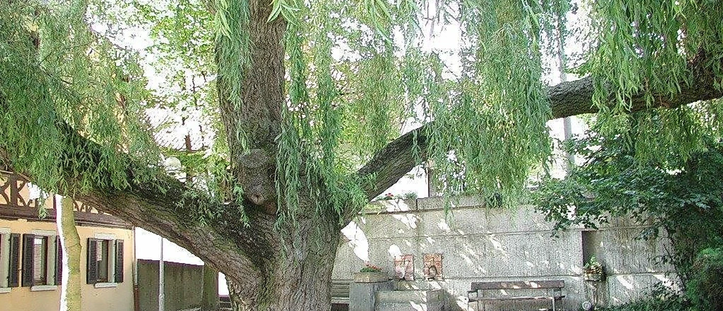 Brunnenplatz Ensheim