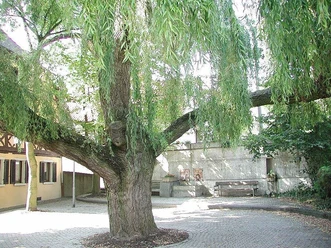 Brunnenplatz Ensheim