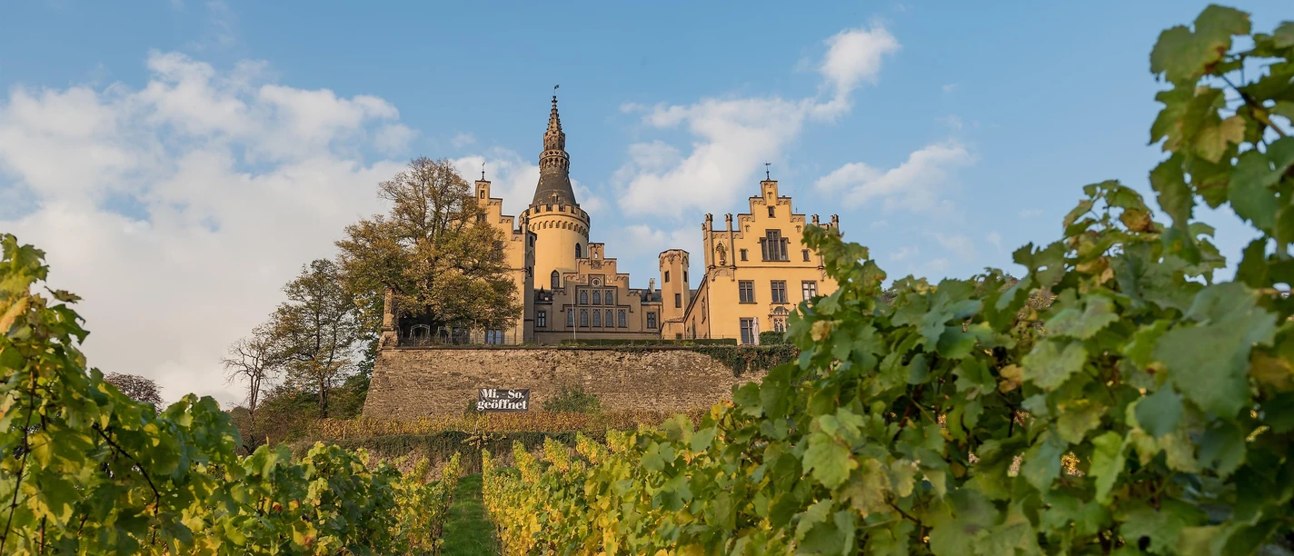Schloss Arenfels