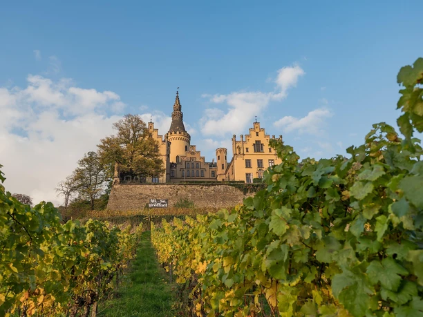 Schloss Arenfels