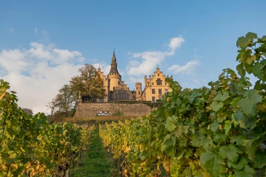 Schloss Arenfels