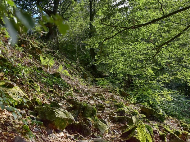 Wichtelhäuser Steine-Lahntal-Brungershausen