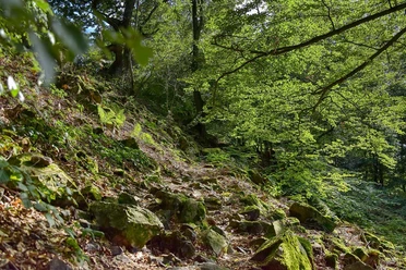 Wichtelhäuser Steine-Lahntal-Brungershausen