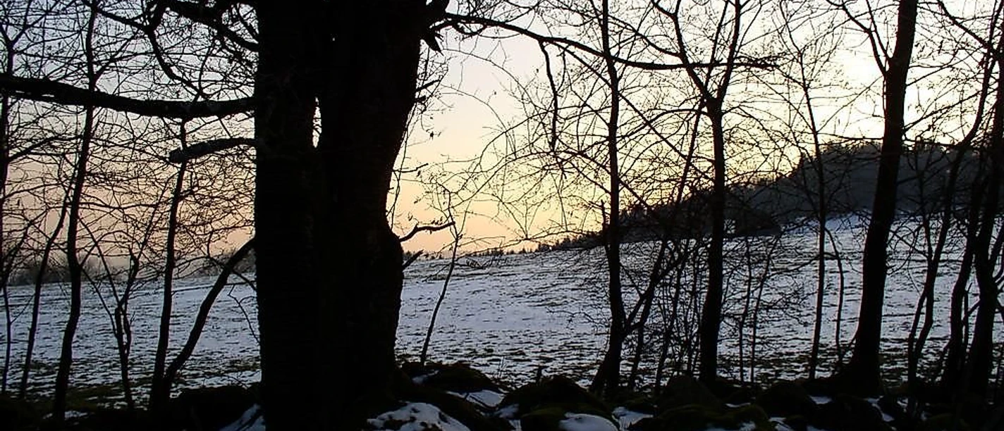 Wintersportangebote 1