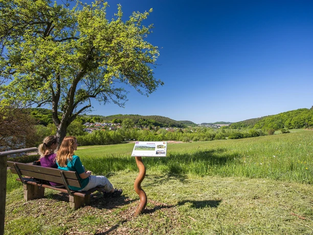 Aussichtspunkt Blick auf Leuktal (02)