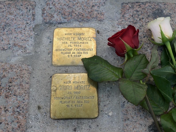 Stolpersteine Speyer mit Rosen