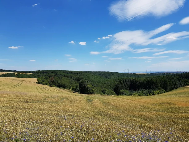 Wiesen und Felder entlang des Weges
