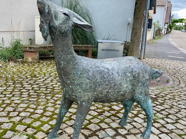 Ziege Bornheim