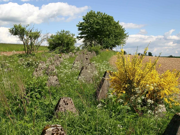 Höckerlinie Westwall-Wanderweg