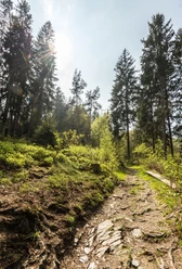 Belgenbachtal