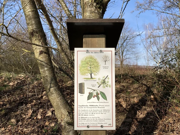 Arboretum Straßenhaus (7)