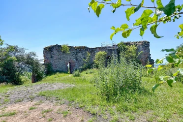 Frauenberg Ruine in Ebsdorfergrund