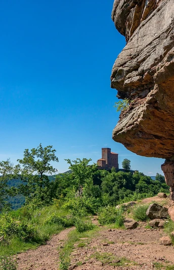 Blick von der Ruine Anebos Richtung Trifels