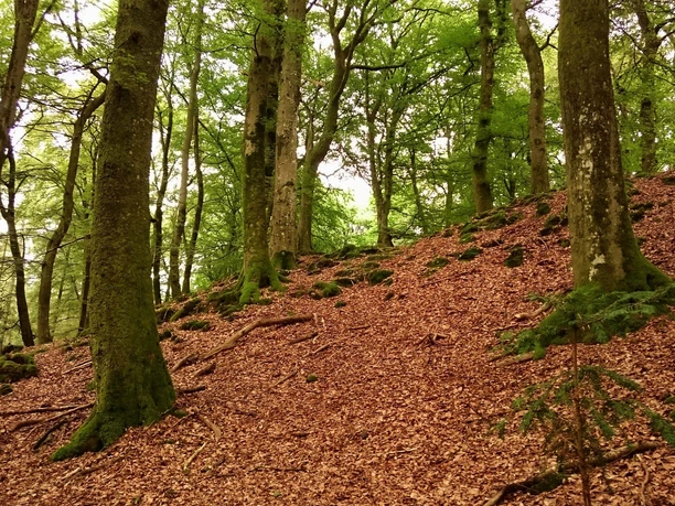 Hauptwall der Wikingerburg von der Außenseite