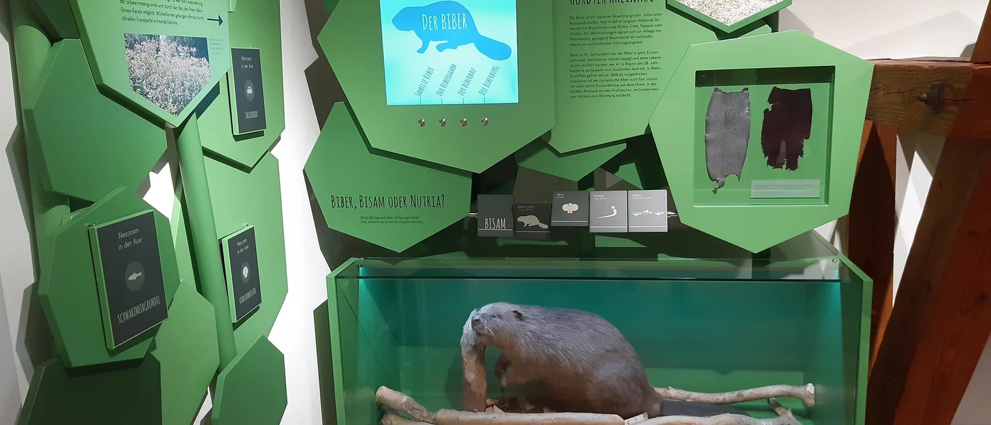 Ausstellung Altes Forsthaus Hördt