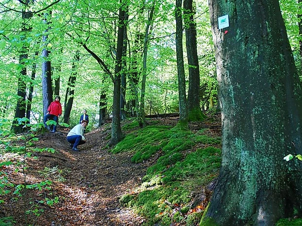 Auf dem Rötelsteinpfad