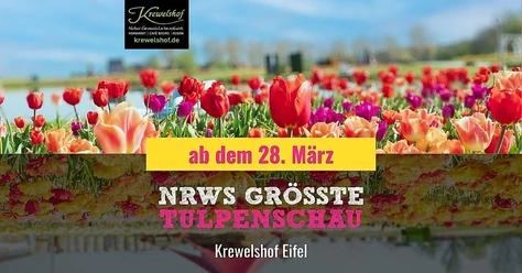 Tulpenschau