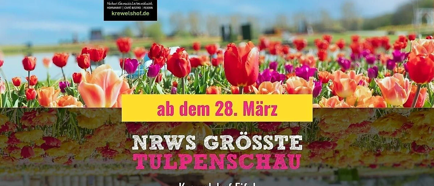 Tulpenschau
