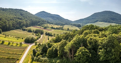 Das Rosental bei Ranschbach