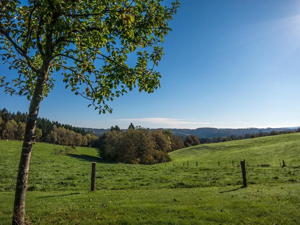 Aussicht bei Hof Hagdorn